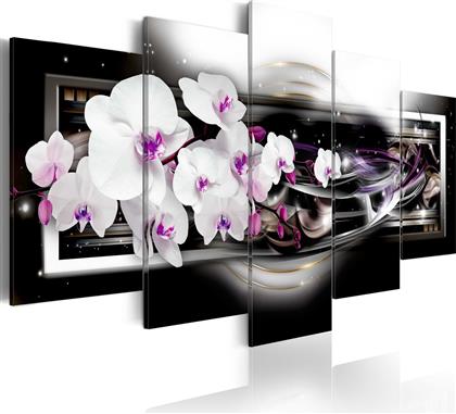 ΠΙΝΑΚΑΣ - ORCHIDS ON A BLACK BACKGROUND 100X50 POLIHOME