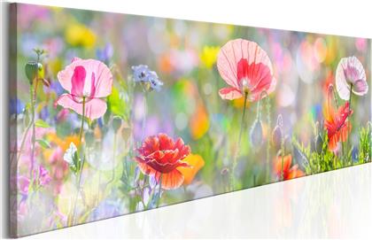 ΠΙΝΑΚΑΣ - RAINBOW OF MORNING POPPIES 120X40 POLIHOME