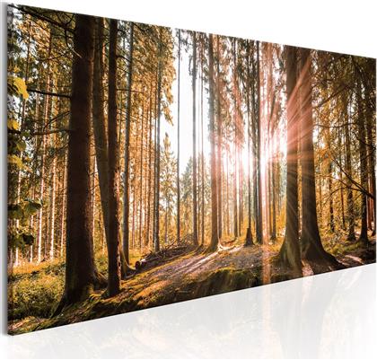 ΠΙΝΑΚΑΣ - SMALL NATURAL WONDERS 120X40 POLIHOME