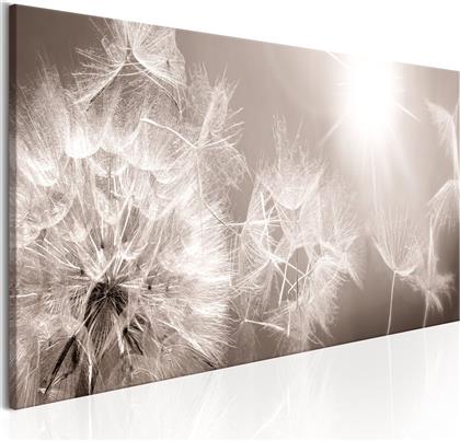 ΠΙΝΑΚΑΣ - SUMMER DANDELIONS 135X45 POLIHOME