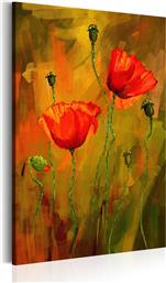 ΠΙΝΑΚΑΣ - THE AWAKENING OF POPPY 40X60 POLIHOME