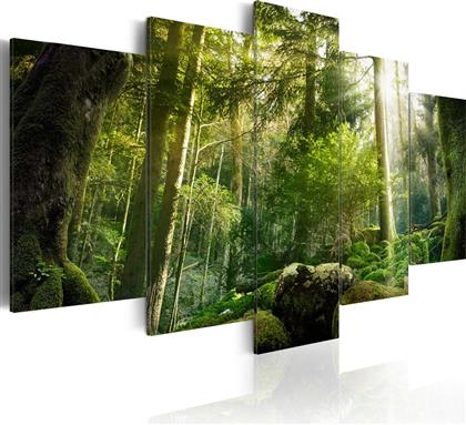 ΠΙΝΑΚΑΣ - THE BEAUTY OF THE FOREST 200X100 POLIHOME από το POLIHOME