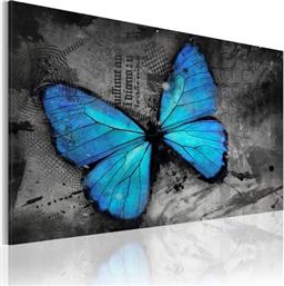 ΠΙΝΑΚΑΣ - THE STUDY OF BUTTERFLY - 90X60 POLIHOME