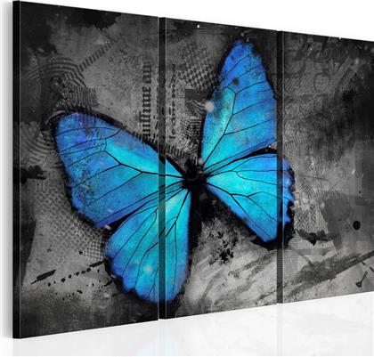 ΠΙΝΑΚΑΣ - THE STUDY OF BUTTERFLY - TRIPTYCH 90X60 POLIHOME