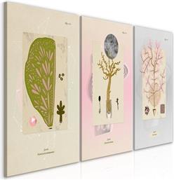 ΠΙΝΑΚΑΣ - TREES (COLLECTION) - 120X60 POLIHOME