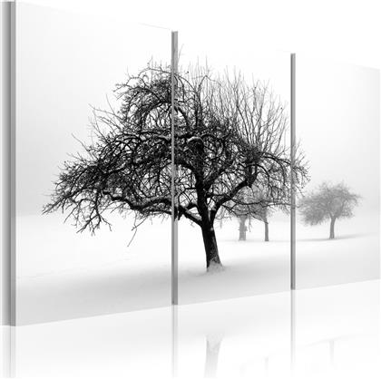 ΠΙΝΑΚΑΣ - TREES SUBMERGED IN WHITE 90X60 POLIHOME