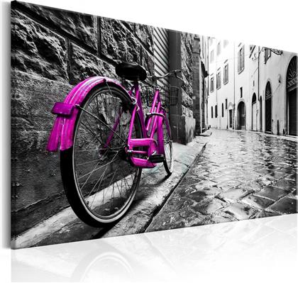 ΠΙΝΑΚΑΣ - VINTAGE PINK BIKE 60X40 POLIHOME