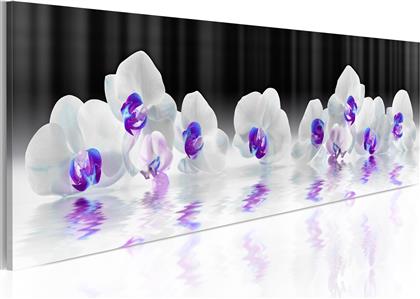 ΠΙΝΑΚΑΣ - WATER ORCHIDS 120X40 POLIHOME