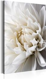 ΠΙΝΑΚΑΣ - WHITE DAHLIA 40X60 POLIHOME από το POLIHOME