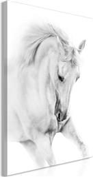 ΠΙΝΑΚΑΣ - WHITE HORSE (1 PART) VERTICAL - 60X90 POLIHOME