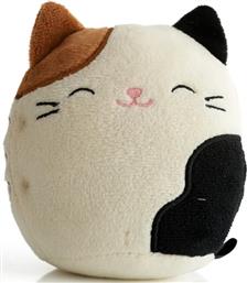 PORTABLE SPEAKER LAZERBUILT CAM CAT PLUS