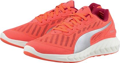 IGNITE ULTIMATE 18860601 - PU.03.05 PUMA