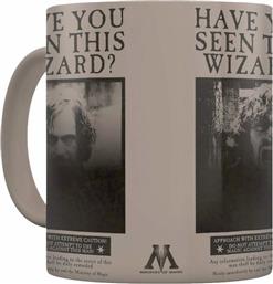 ΚΟΥΠΑ HARRY POTTER ΑΠΟ ΠΟΡΣΕΛΑΝΗ 320 ML - SIRIUS BLACK PYRAMID