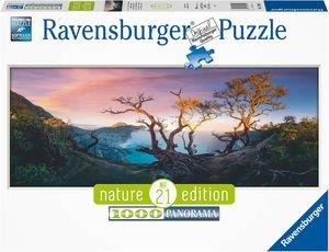 ΦΥΣΗ - ΠΑΝΟΡΑΜΑ 1000 ΚΟΜΜΑΤΙΑ RAVENSBURGER