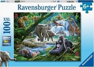 JUNGLE FAMILIES XXL 100 ΚΟΜΜΑΤΙΑ RAVENSBURGER από το PLUS4U