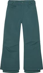 ΠΑΝΤΕΛΟΝΙ SNOWBOARD ROXY