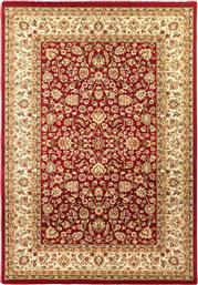 ΧΑΛΙ ΣΑΛΟΝΙΟΥ 100X200 OLYMPIA OVAL 4262 RED (100X200) ROYAL CARPET