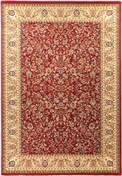 ΧΑΛΙ ΣΑΛΟΝΙΟΥ 100X200 OLYMPIA OVAL 8595 RED (100X200) ROYAL CARPET