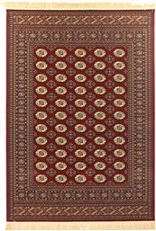 ΧΑΛΙ ΣΑΛΟΝΙΟΥ 160X230 SHERAZAD 8874 RED (160X230) ROYAL CARPET από το AITHRIO