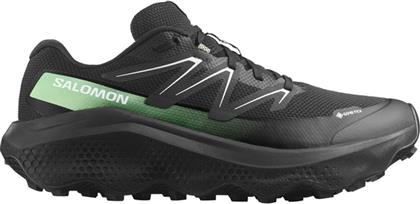 479814 ULTRA FLOW 2 GTX BLACK/ GREEN SALOMON