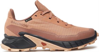 ΠΑΠΟΥΤΣΙΑ ΓΙΑ ΤΡΕΞΙΜΟ ALPHACROSS 5 GORE-TEX L47595100 ΚΟΡΑΛΛΙ SALOMON