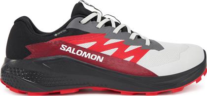 ΠΑΠΟΥΤΣΙΑ ΓΙΑ ΤΡΕΞΙΜΟ ALPHAGLIDE GORE-TEX L47802200 ΓΚΡΙ SALOMON