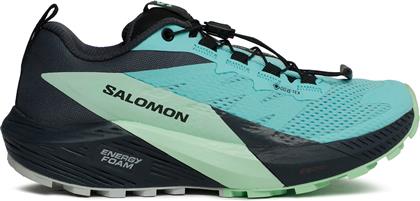 ΠΑΠΟΥΤΣΙΑ ΓΙΑ ΤΡΕΞΙΜΟ SENSE RIDE 5 GORE-TEX L47216000 ΜΠΛΕ SALOMON