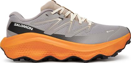 ΠΑΠΟΥΤΣΙΑ ΓΙΑ ΤΡΕΞΙΜΟ ULTRA FLOW 2 GORE-TEX L47884200 ΓΚΡΙ SALOMON