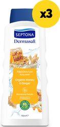 ΑΦΡΟΛΟΥΤΡΟ DERMASOFT SHOWERGEL HONEY & GINGER 750ML X3 SEPTONA