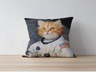 ΜΑΞΙΛΑΡΟΘΗΚΗ 43X43CM COVEREST CUSHION COVER