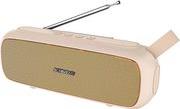 SONIC GEAR BLUETOOTH 5.0 SUPER BASS FM RADIO CHAMPAGNE P8000CH SONICGEAR