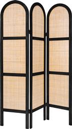 ΠΑΡΑΒΑΝ (120X1.5X170) A-S RATTAN 178720A SPITISHOP