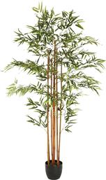 ΤΕΧΝΗΤΟ ΦΥΤΟ ΣΕ ΓΛΑΣΤΡΑ 185ΕΚ. A-S BAMBOO ARTIFICIL 110248 SPITISHOP