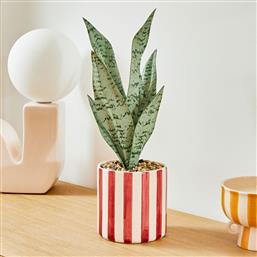 ΤΕΧΝΗΤΟ ΦΥΤΟ ΣΕ ΓΛΑΣΤΡΑ (Φ11.5X38) A-S CHERI 210126 RED SPITISHOP