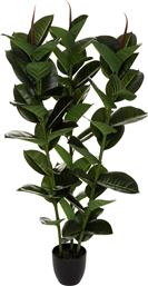 ΤΕΧΝΗΤΟ ΦΥΤΟ ΣΕ ΓΛΑΣΤΡΑ (Φ40X120) A-S FICUS ROBUSTA 181460 SPITISHOP