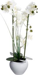 ΤΕΧΝΗΤΟ ΛΟΥΛΟΥΔΙ ΣΕ ΓΛΑΣΤΡΑ (Φ47X56) A-S WHITE ORCHID 136510B SPITISHOP