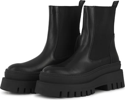 CASSANDRA SM11002679 - STE.017 STEVE MADDEN