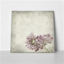 ΠΙΝΑΚΑΣ ΣΕ ΚΑΜΒΑ TEXTURED OLD PAPER BACKGROUND SCABIOSA FLOWER STICKY