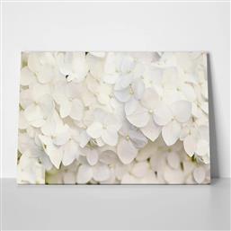 ΠΙΝΑΚΑΣ ΣΕ ΚΑΜΒΑ WHITE HYDRANGEA FLORAL BACKGROUND STICKY