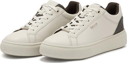 1-23700-41 - TA.147 TAMARIS