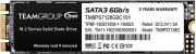 SSD TM8PS7128G0C101 MS30 128GB M.2 2280 SATA 3 TEAM GROUP από το e-SHOP