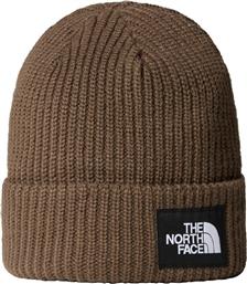 SALTY LINED BEANIE NF0A3FJW1OI-1OI ΚΑΦΕ THE NORTH FACE από το ZAKCRET SPORTS