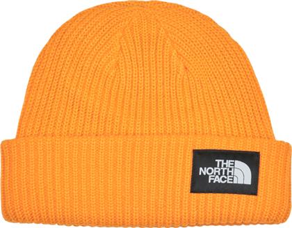 ΣΚΟΥΦΟΣ SALTY LINED BEANIE THE NORTH FACE από το SPARTOO