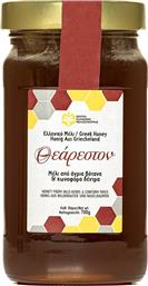 ΜΕΛΙ ΑΓΡΙΑ ΒΟΤΑΝΑ ΚΑΙ ΚΩΝΟΦΟΡΑ 700G ΘΕΑΡΕΣΤΟΝ