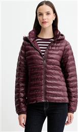 ΜΠΟΥΦΑΝ ΧΡΩΜΑ: ΜΠΟΡΝΤΟ, WW0WW47351 TOMMY HILFIGER