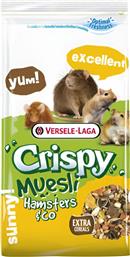 ΤΡΟΦΗ ΓΙΑ ΧΑΜΣΤΕΡ ΑΡΟΥΡΑΙΟ VERSELE LAGA MUESLI HAMSTER (1KG) VADIGRAN