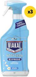 EXPRESS NTOUZΙΕΡΑ 3X800ML VIAKAL