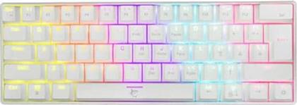 WHITE SHARK SHINOBI GAMING ΜΗΧΑΝΙΚΟ ΕΝΣΥΡΜΑΤΟ ΠΛΗΚΤΡΟΛΟΓΙΟ 60% ΜΕ OUTEMU BLUE ΔΙΑΚΟΠΤΕΣ ΚΑΙ RGB ΛΕΥΚΟ (US) WHITESHARK από το PUBLIC