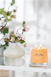 ΑΡΩΜΑΤΙΚΟ ΚΕΡΙ ΣΕ ΓΥΑΛΙΝΟ ΔΟΧΕΙΟ MEDIUM ''SIGNATURE MANGO ICE CREAM'' - 1632325E YANKEE CANDLE