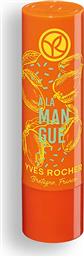 NOURISHING MANGO LIP BALM 4,8 GR - 90135 YVES ROCHER